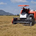 Máy Gặt Đang Cắt Bị Nghẹn? 5 Máy gặt Kubota