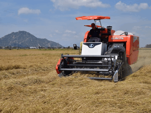 Máy gặt Kubota