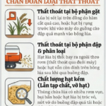 máy gặt Kubuta