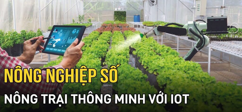 image4 1 e1772788626183